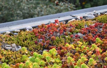 the cost of Barleythorpe green roof installation