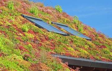 Barleythorpe living roof systems